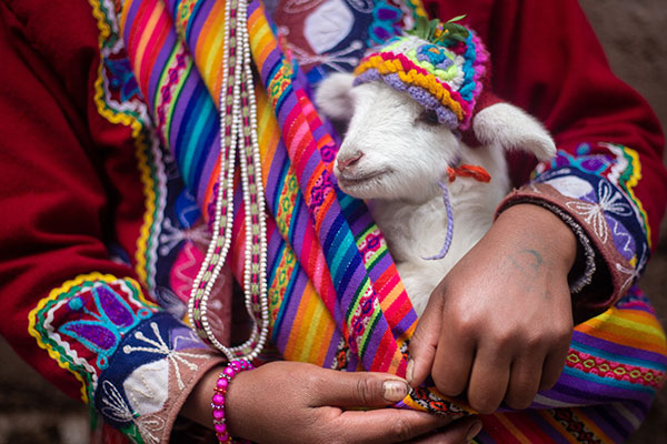 Ecuadorian Words and Expressions